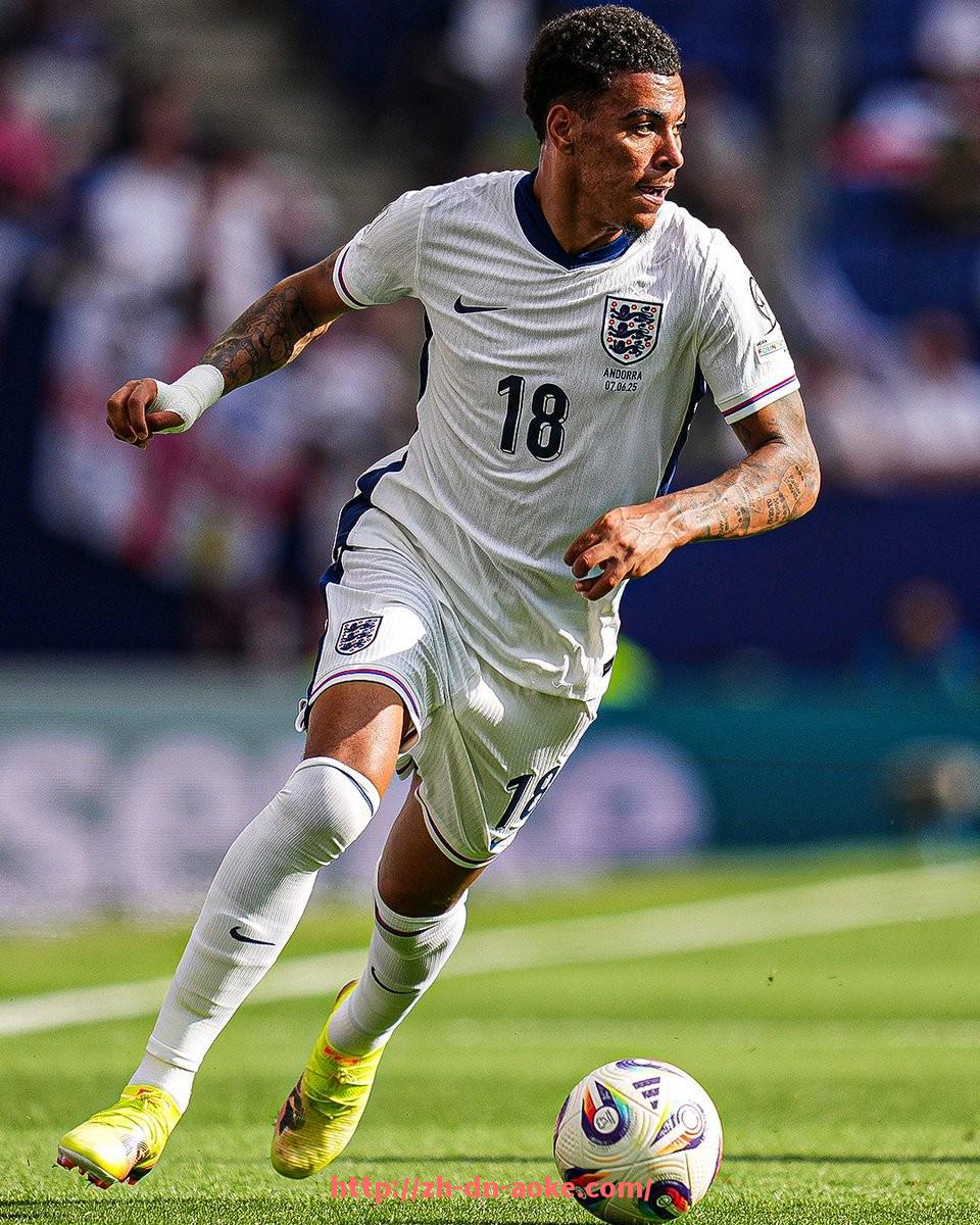 澳客足彩-法甲雷恩球员总身价:雷恩球员市场价值分析