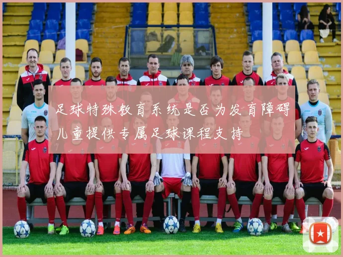 足球特殊教育系统是否为发育障碍儿童提供专属足球课程支持