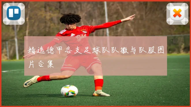 精选德甲各支足球队队徽与队服图片合集