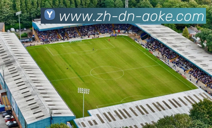 App Interface Preview