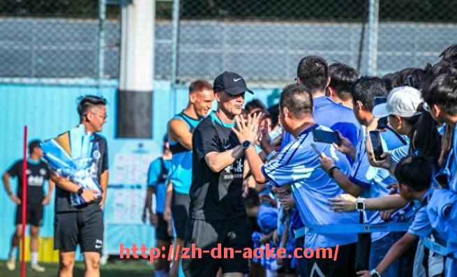 澳客足彩-本赛季意甲降级球队情况及未来走势预测